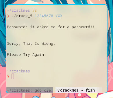 Running with the correct arguments