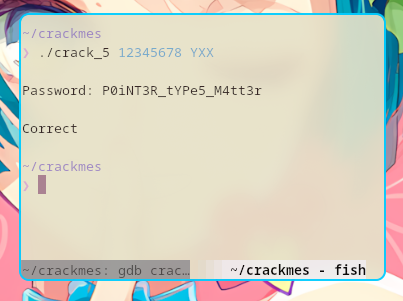 Testing the password found